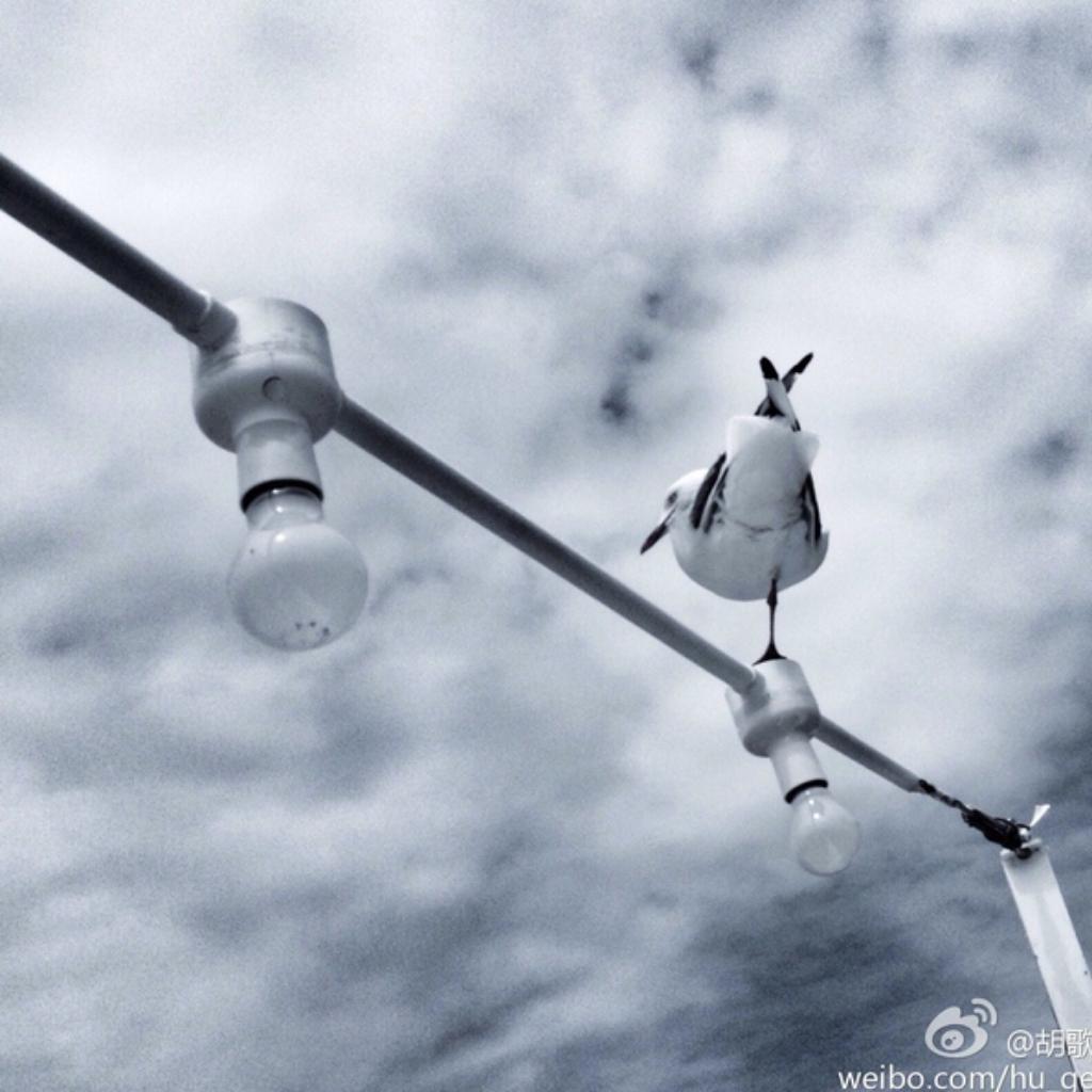 Having date with惠贞