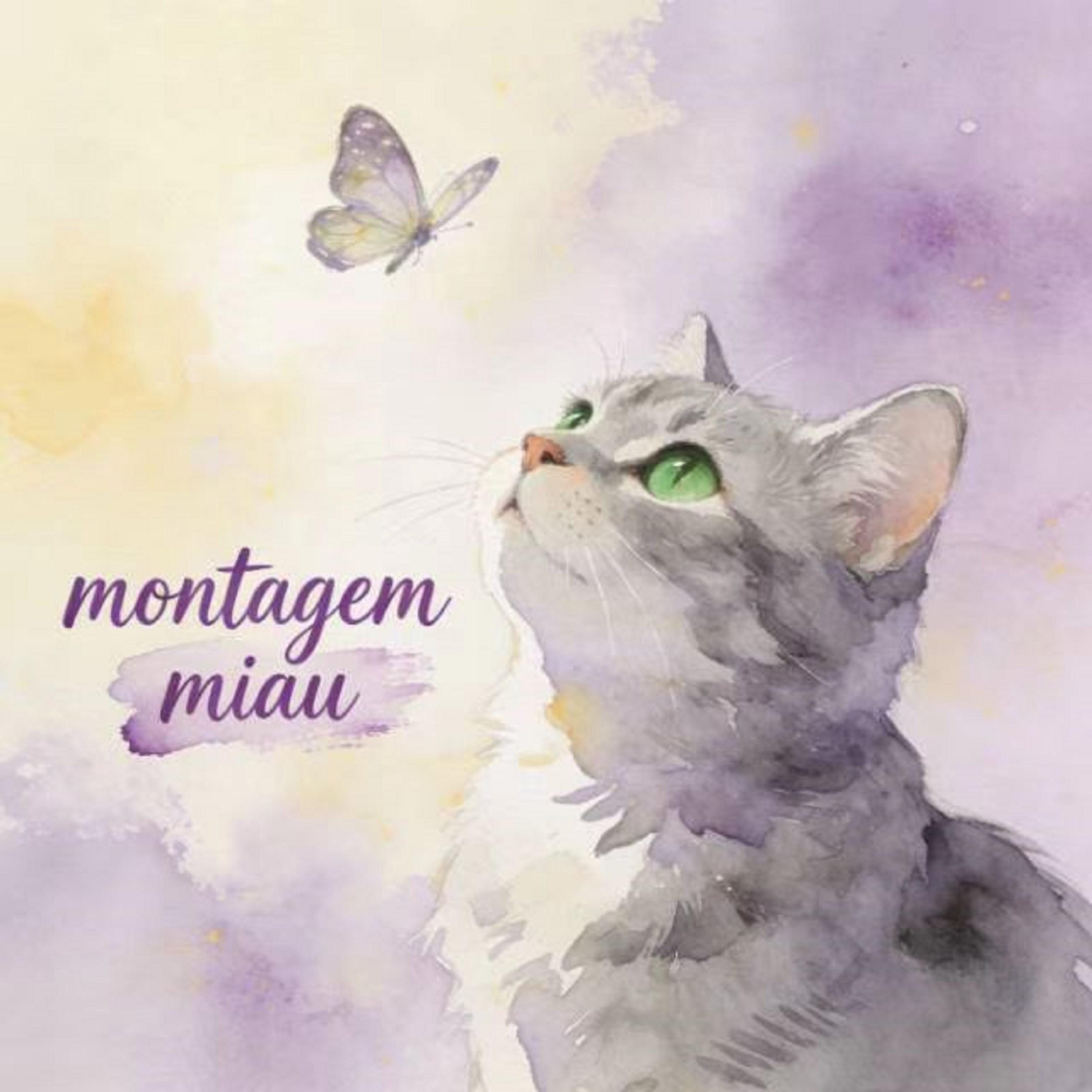 Montagem Miau