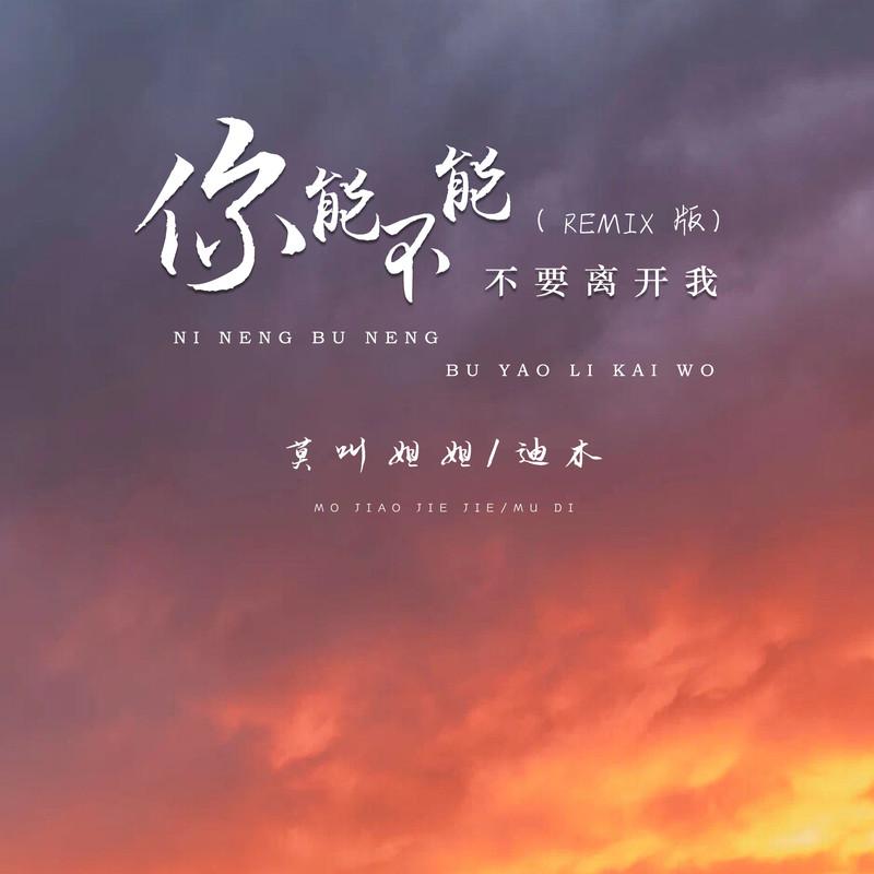 你能不能不要离开我 (remix版伴奏)封面