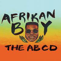 The ABCD