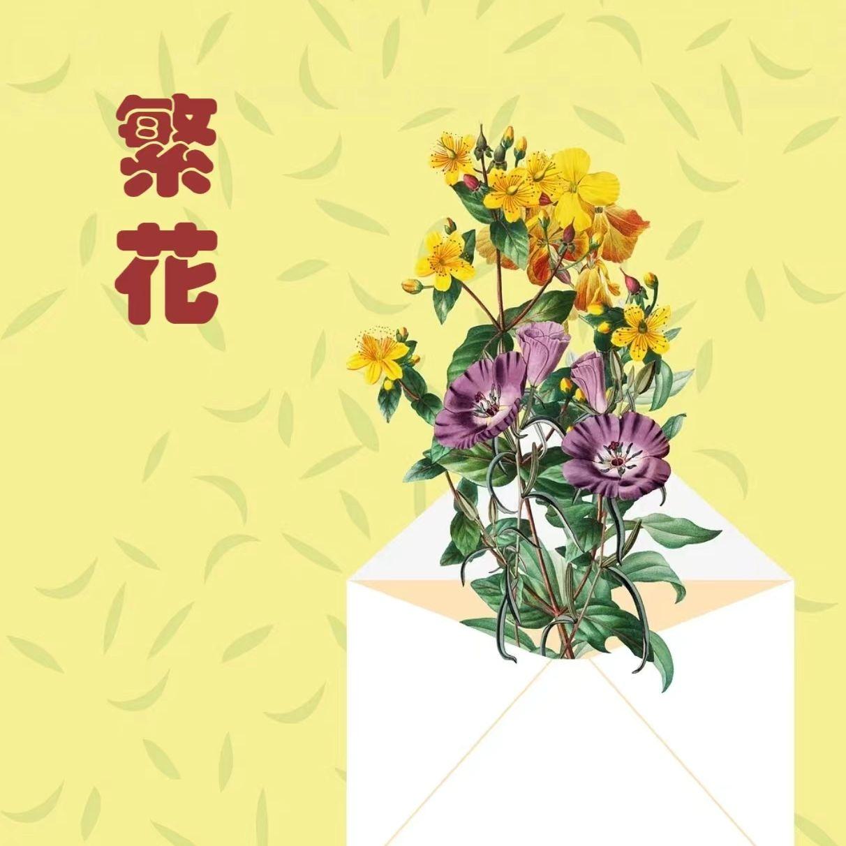 新鸳鸯蝴蝶梦(女声版)封面