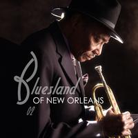 Bluesland of New Orleans, Vol. 2