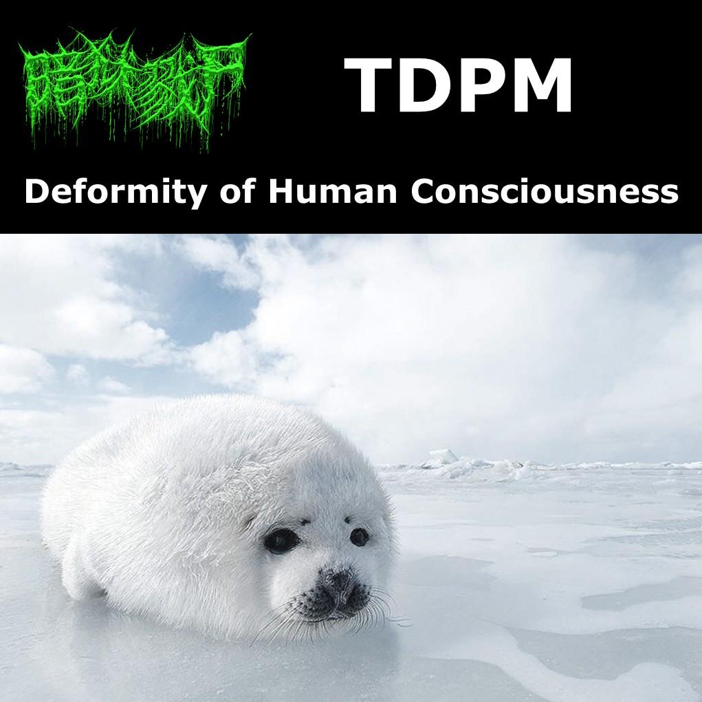 Silence Of Decay_暗狱戮尸_Deformity of Human Consciousness | 在线播放_Silence Of Decay歌词_Silence Of Decay下载 | 网易云音乐
