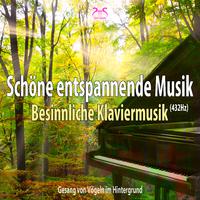 Schöne entspannende Musik (432Hz): Besinnliche Klaviermusik (Gesang von Vögeln im Hintergrund)