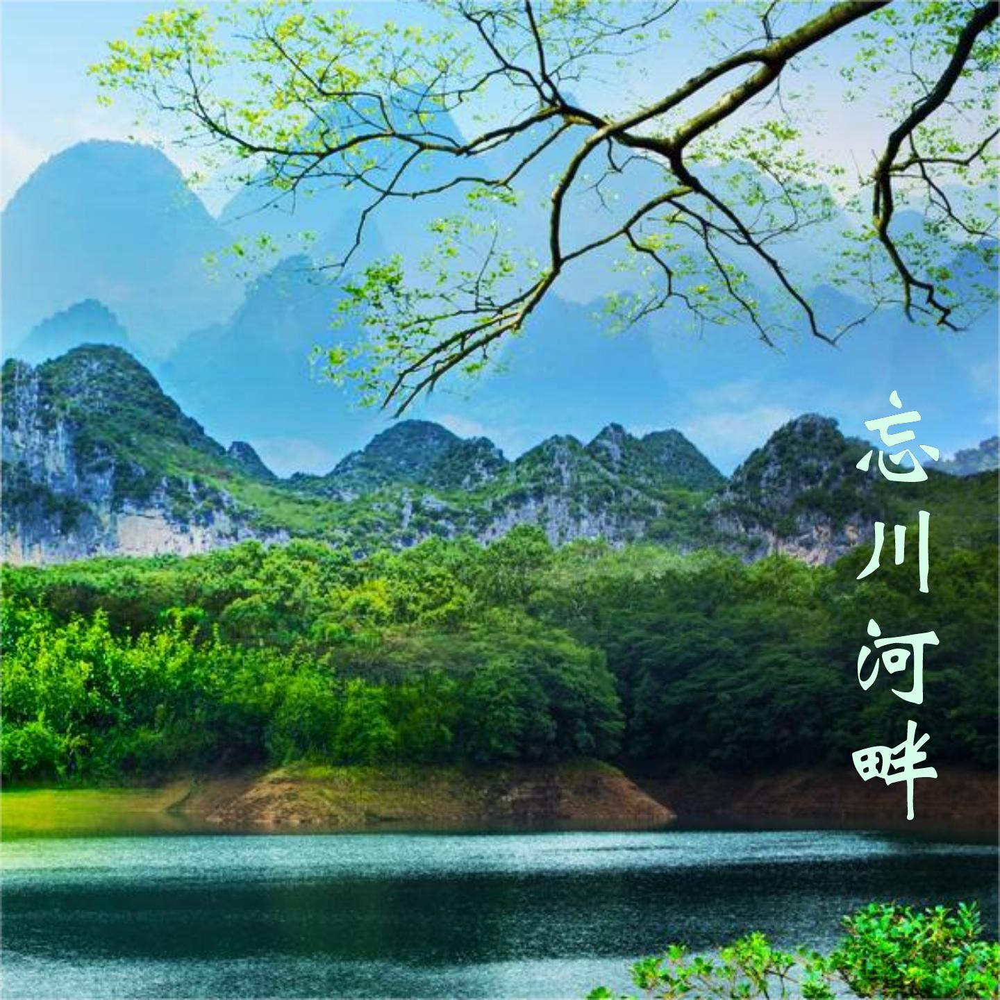 我醉了封面