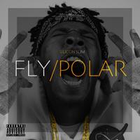 Flypolar