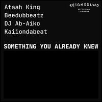 Something You Already Knew (Second Mix Radio Edit)