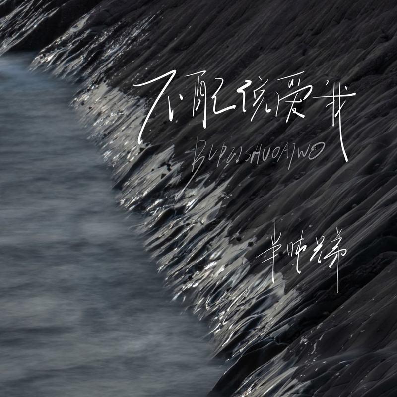 不配说爱我 (DJ越鑫版伴奏)封面