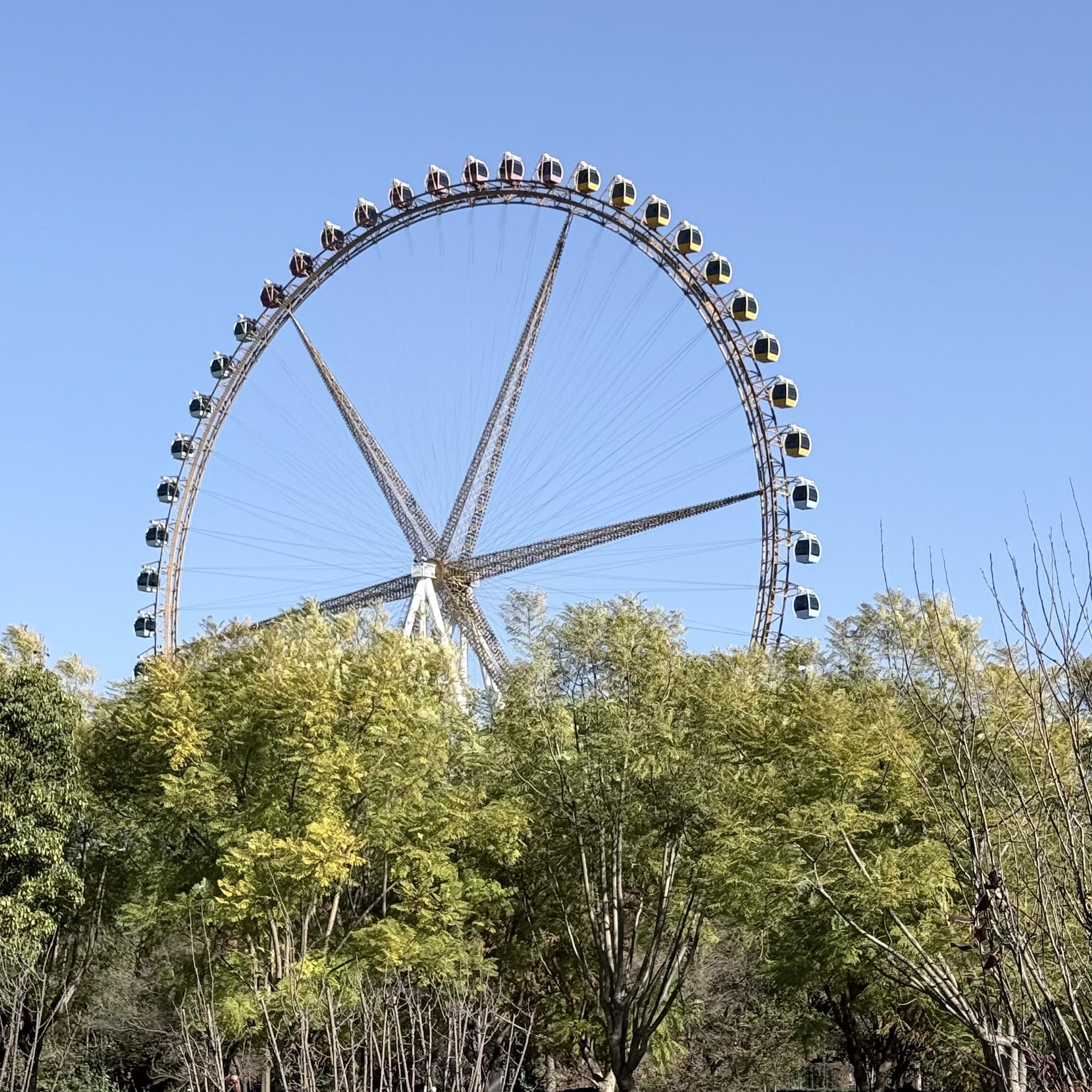 离舟千秋封面