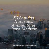 50 Sonidos Naturales Ambientales Para Meditar