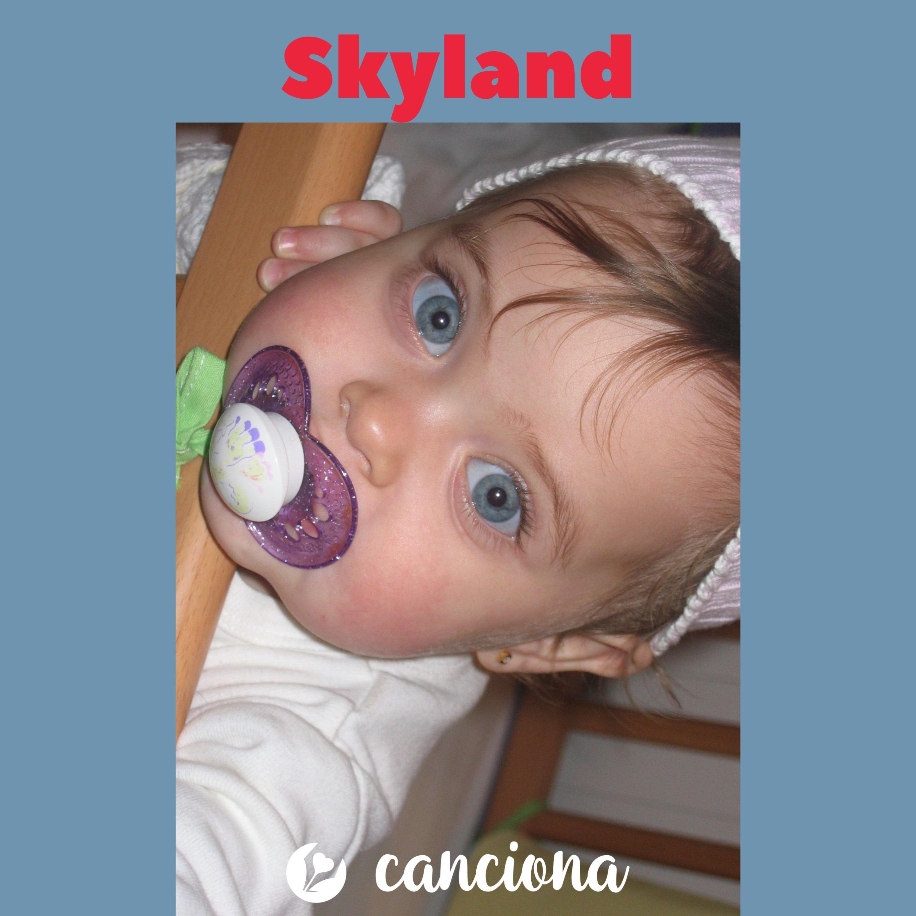 Skyland - Canciona封面