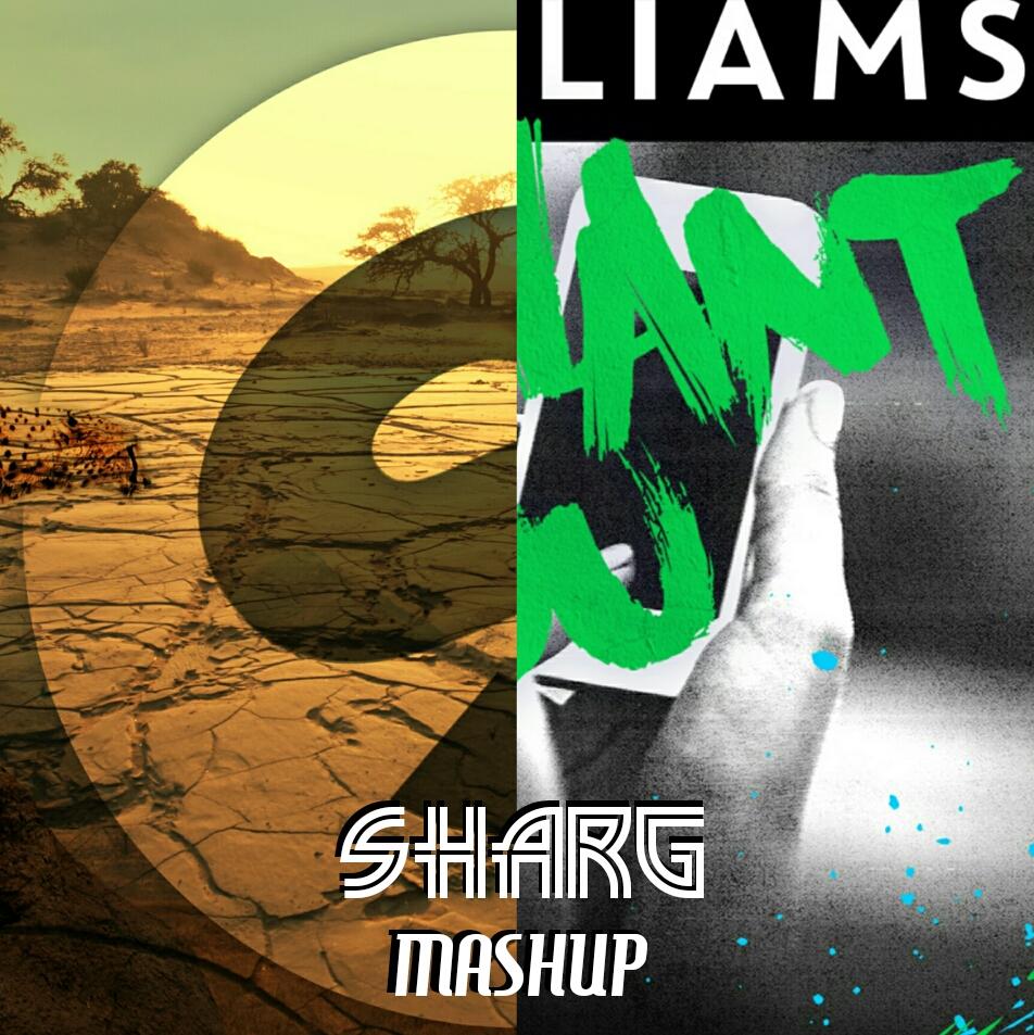 I Want You Take Me Down（SharG Mashup）