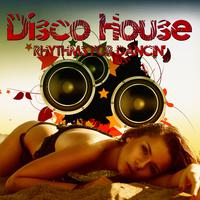 Disco House