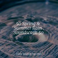 50 Spring & Summer Rain Soundscape 50