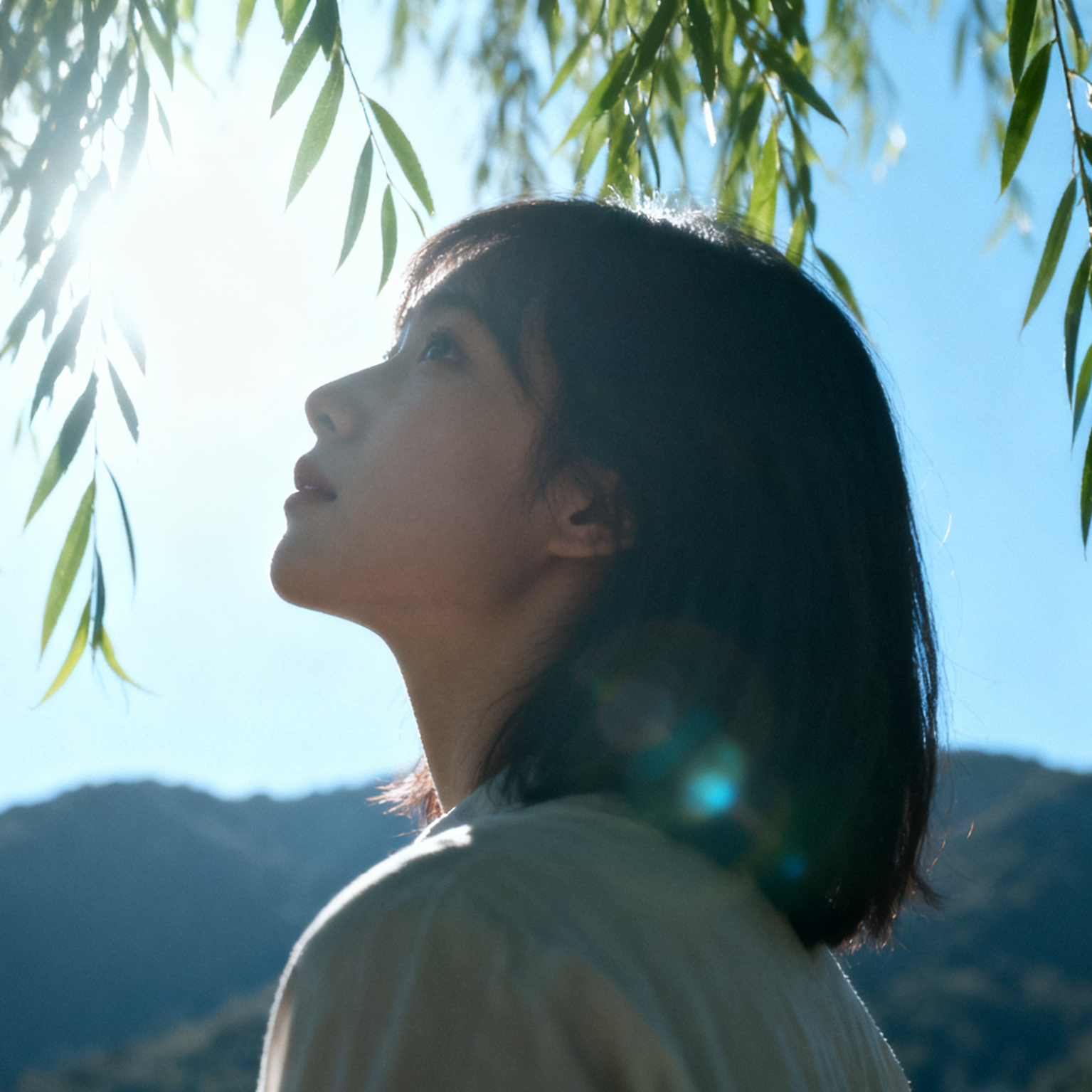 念（prodEVOMUSIC)封面