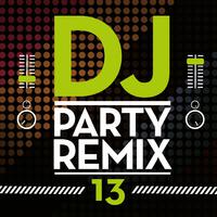 DJ Party Remix, Vol. 13