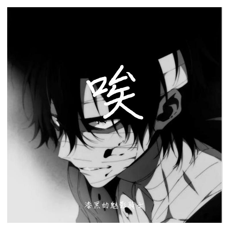 那个她 - 漆黑的魅影骑士封面