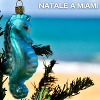 Natale a miami