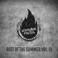 Best Of The Summer, Vol. 11