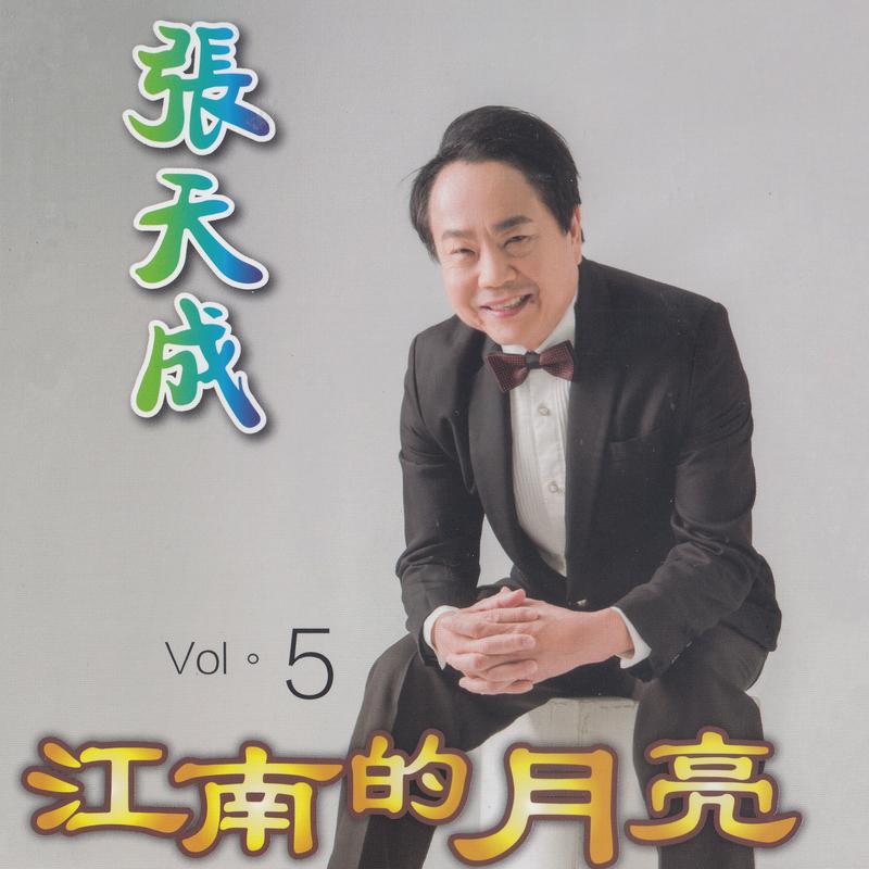 心中只有你 - 张天成封面