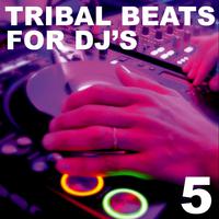 Tribal Beats for DJ's - Vol. 5