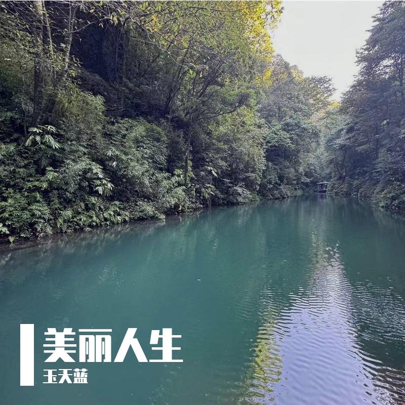 未来很美封面