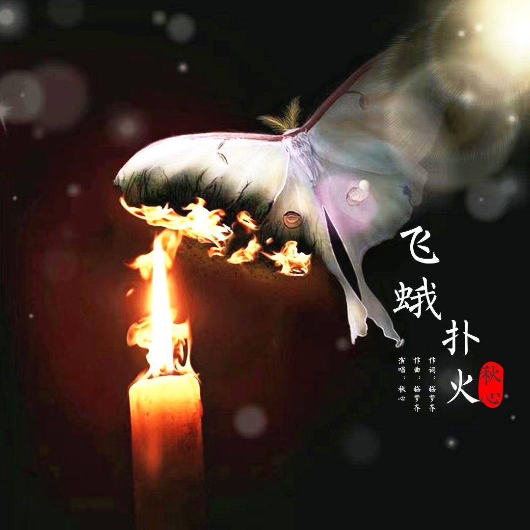 飞蛾扑火 (伴奏)封面