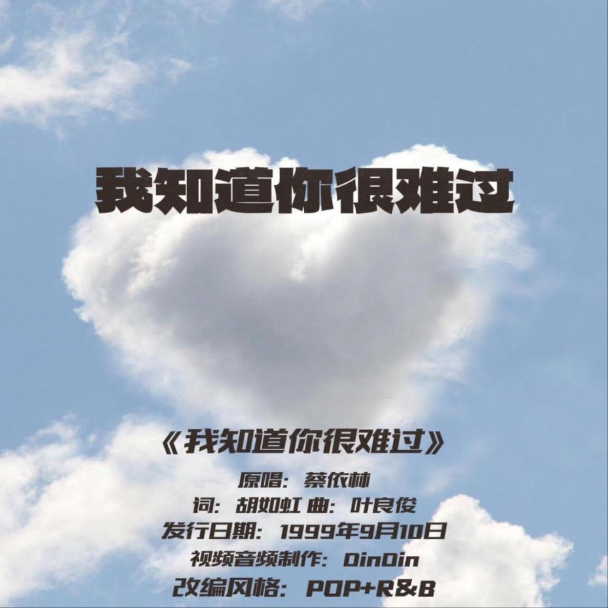我知道你很难过封面