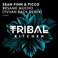 Besame Mucho (Yvvan Back Remix)