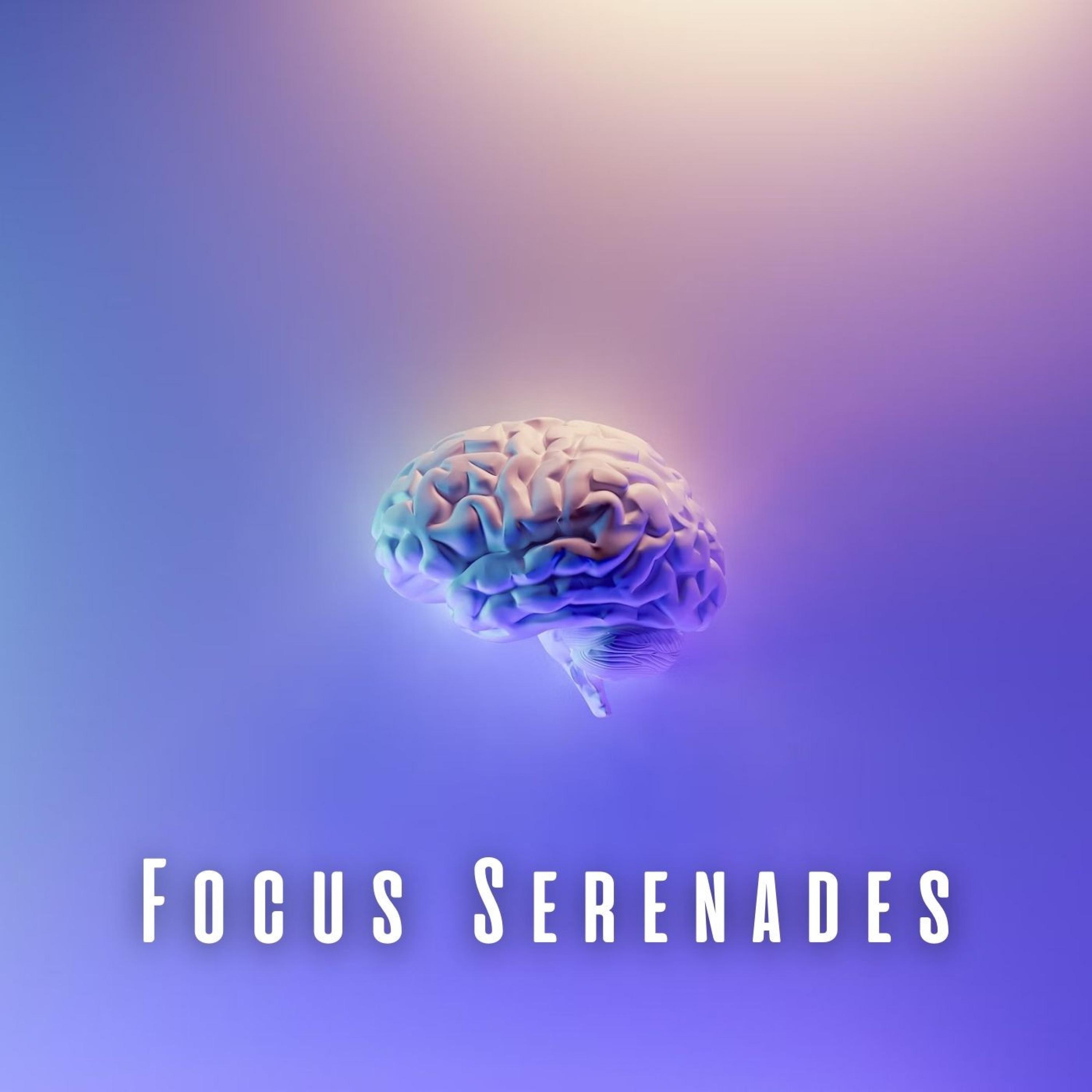 Focused on Keys_Life In Legato_Focus Serenades: Piano Symphonies for Calm Mind | 在线播放_Focused on Keys歌词_Focused on Keys下载 | 网易云音乐