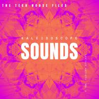 Kaleidoscope Sounds, Vol. 1 (The Tech House Files)