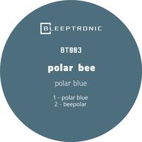 Polar Blue