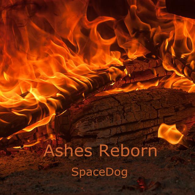 ashes reborn - spacedog - 单曲 - 网易云音乐