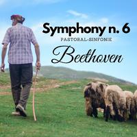 Beethoven - Symphony n. 6 - Pastoral Sinfonie