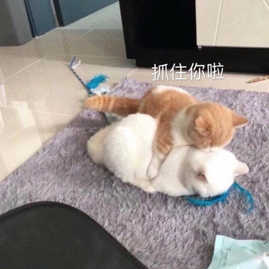 OOLLLLL的个人主页