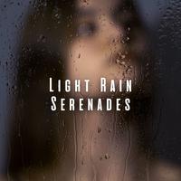 Light Rain Serenades: Forest's Sounds for Relaxation