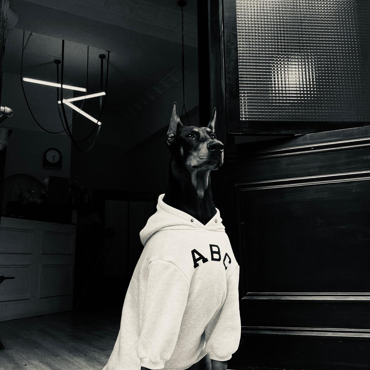 齐秦-不让我的眼泪陪我过夜（陈泽remix remix）