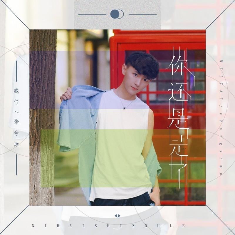 你还是走了 - 威仔、张兮沐封面