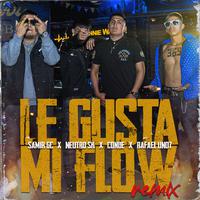 Le Gusta Mi Flow (Remix)