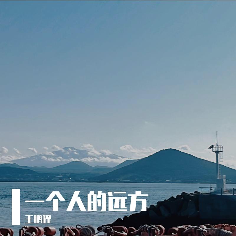 一个人的远方封面