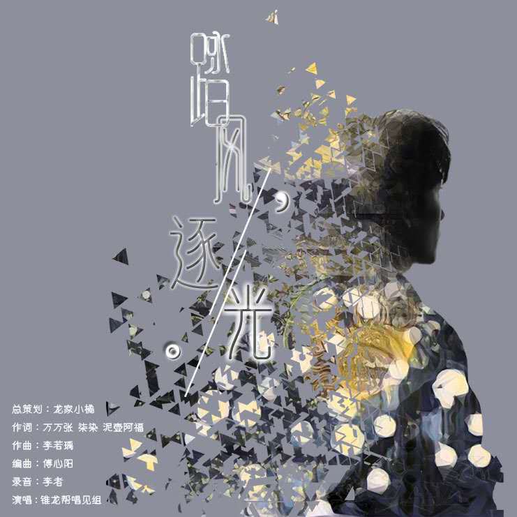 踏风逐光封面