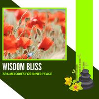 Wisdom Bliss - Spa Melodies For Inner Peace