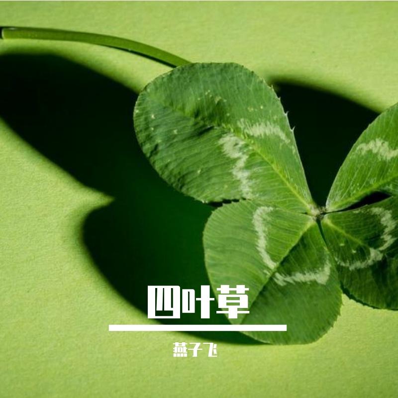 碰碰车封面