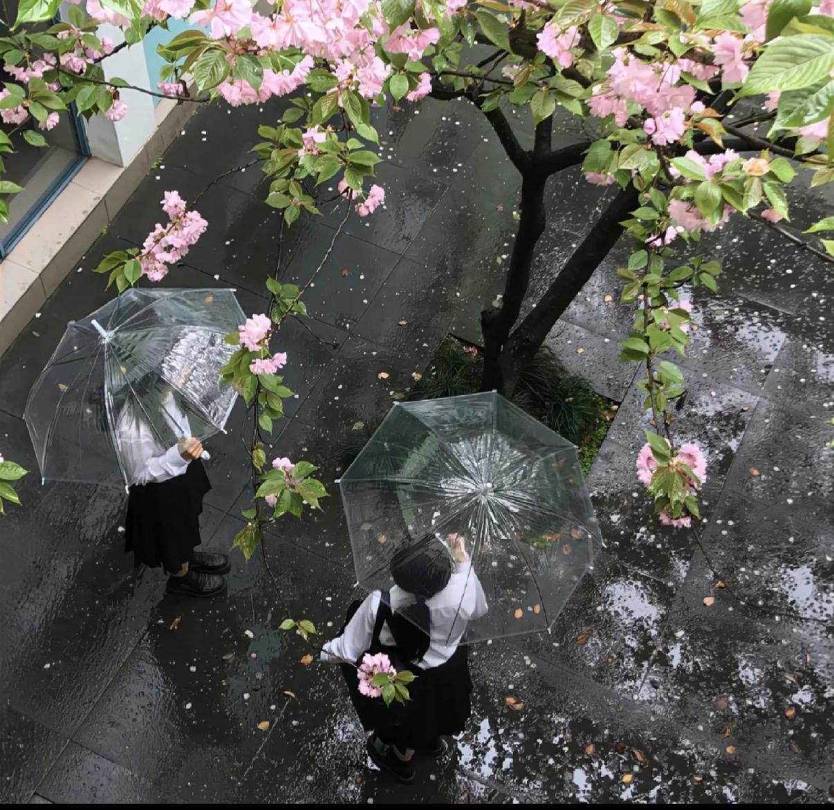 各自安好 (女声版)封面