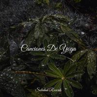 Canciones De Yoga