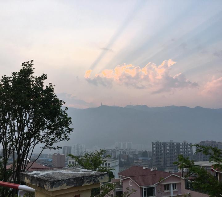 杨不爽