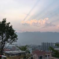 杨不爽