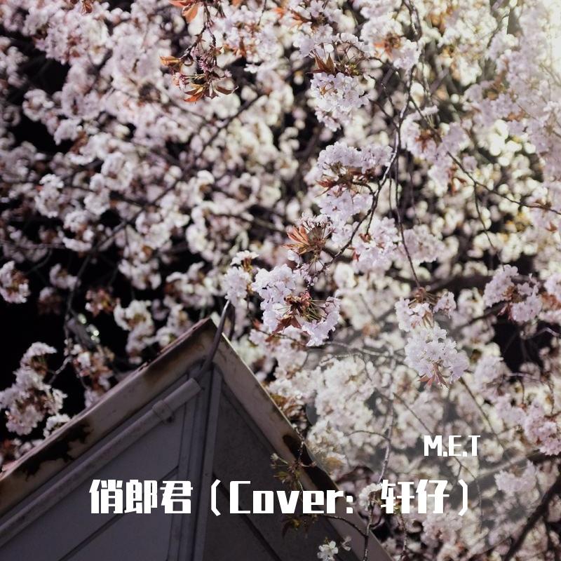 俏郎君封面