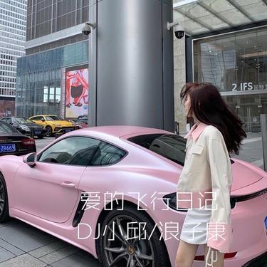 爱的飞行日记 (DJ版)封面