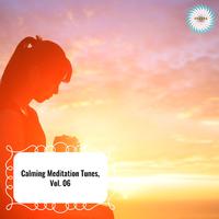 Calming Meditation Tunes, Vol. 06